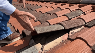 What Is Involved in the Roof Restoration Process?