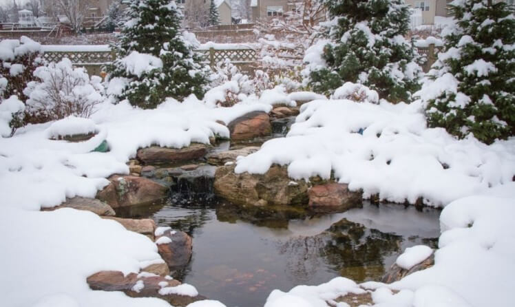 Swimming Pond