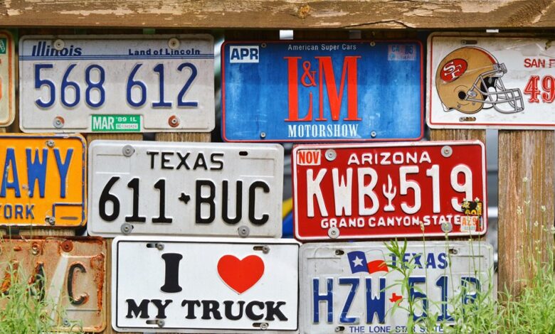 global license plate diversity