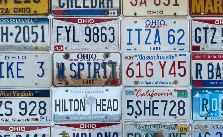 significance of state plates