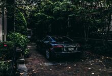 vehicle license cost estimator