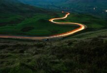 vehicle registration number guide
