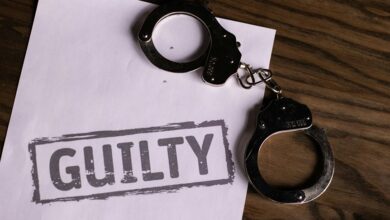 identification s role in justice