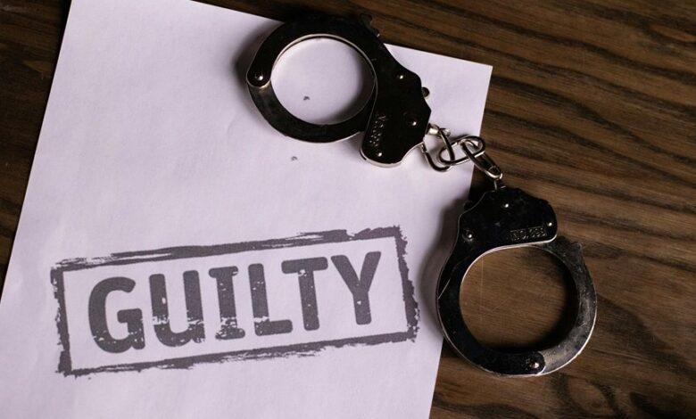 identification s role in justice