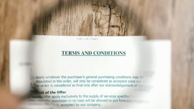 legal term analysis