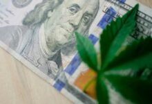 investing in cannabis industry