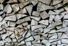 renewable energy stock outlook