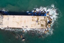 hentai platform overview details