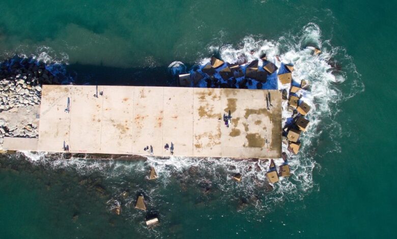 hentai platform overview details