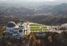 hollywood775 profile summary