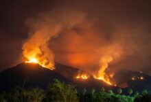 jancilkizmor safety risks overview