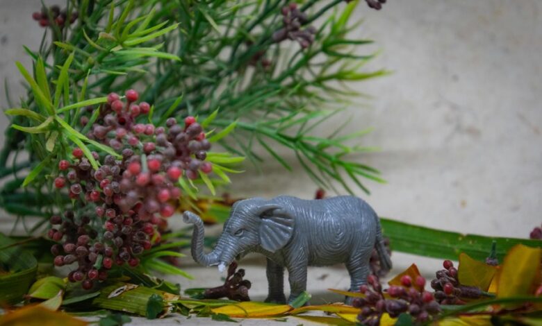 curious black model design