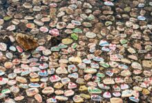 curious name evokes intrigue