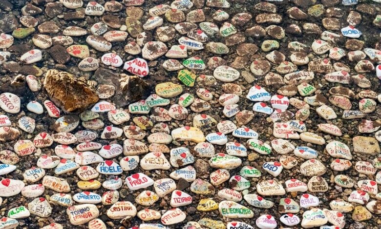 curious name evokes intrigue