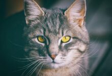 curious name exploration journey