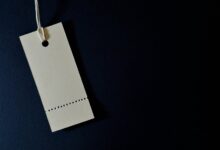 puog model price interest