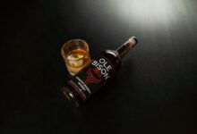 sally rychlak s ole miss connection