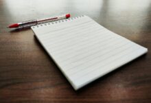 sffaresports 2023 outcomes revealed