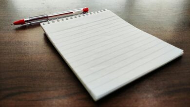 sffaresports 2023 outcomes revealed