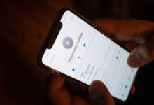 accurate background report details