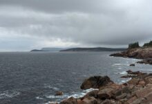 nova surge model number dynamic vector