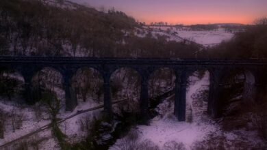 traffic maximizer success beacon four words