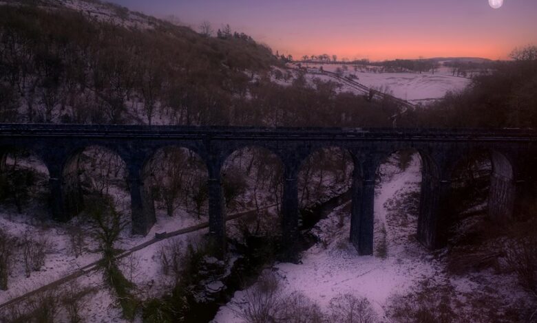 traffic maximizer success beacon four words