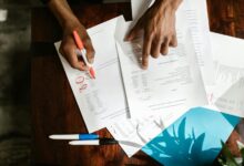 usage insights and account overview phrased succinctly