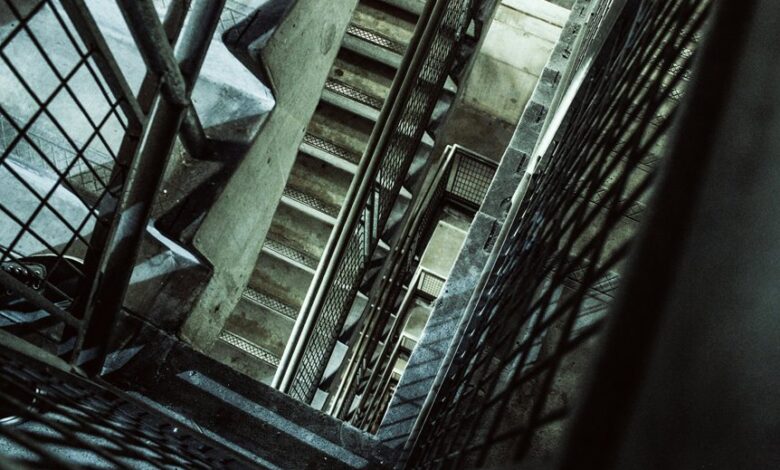 vertex surge 915451100 growth flow