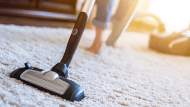 Whole House Carpet Cleaning for a Fresh and Healthier Home