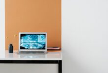 expand online authority through digital platform