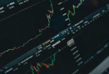 scale online platform marketing experts