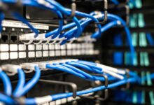 strengthen digital network web services