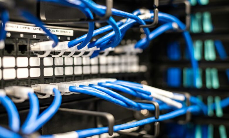 strengthen digital network web services