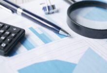 final data audit report details