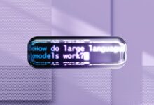 language and encoding scan details