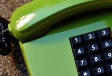 network record shows five phone numbers