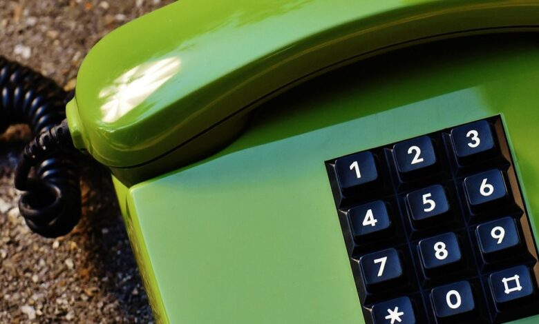 network record shows five phone numbers