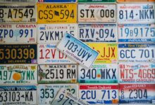 number registry insights for specific ids