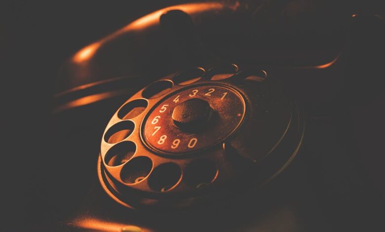 phone numbers and lookup details listed