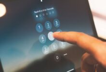 public lookup data numbers revealed
