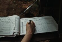 registered lookup entries for five numbers