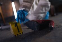 registry evidence for five numbers