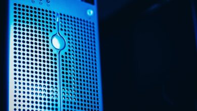 registry lookup numbers listed for review