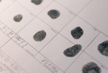 registry lookup records numbers provided