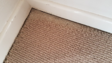 7 Everyday Items Leaving Permanent Carpet Damage