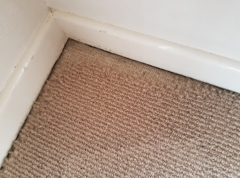 7 Everyday Items Leaving Permanent Carpet Damage